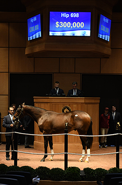 fasig tipton kentucky october yearlings sale hip 698 into mischief colt
