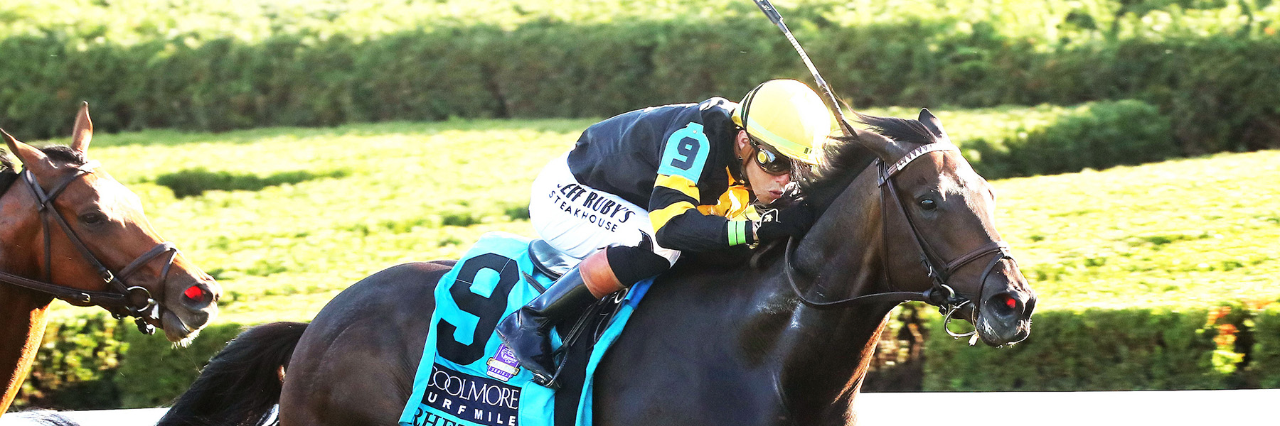 Rhetorical - 25 Coolmore Turf Mile - NYB
