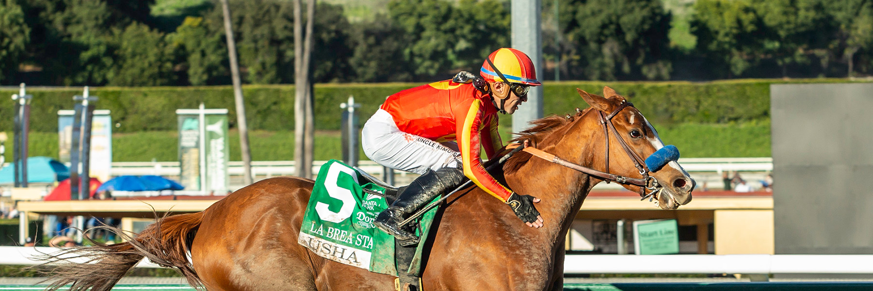 Usha - 25 La Brea - NYB