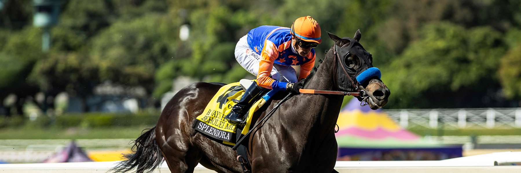 Splendora - 25 Beholder Mile - July