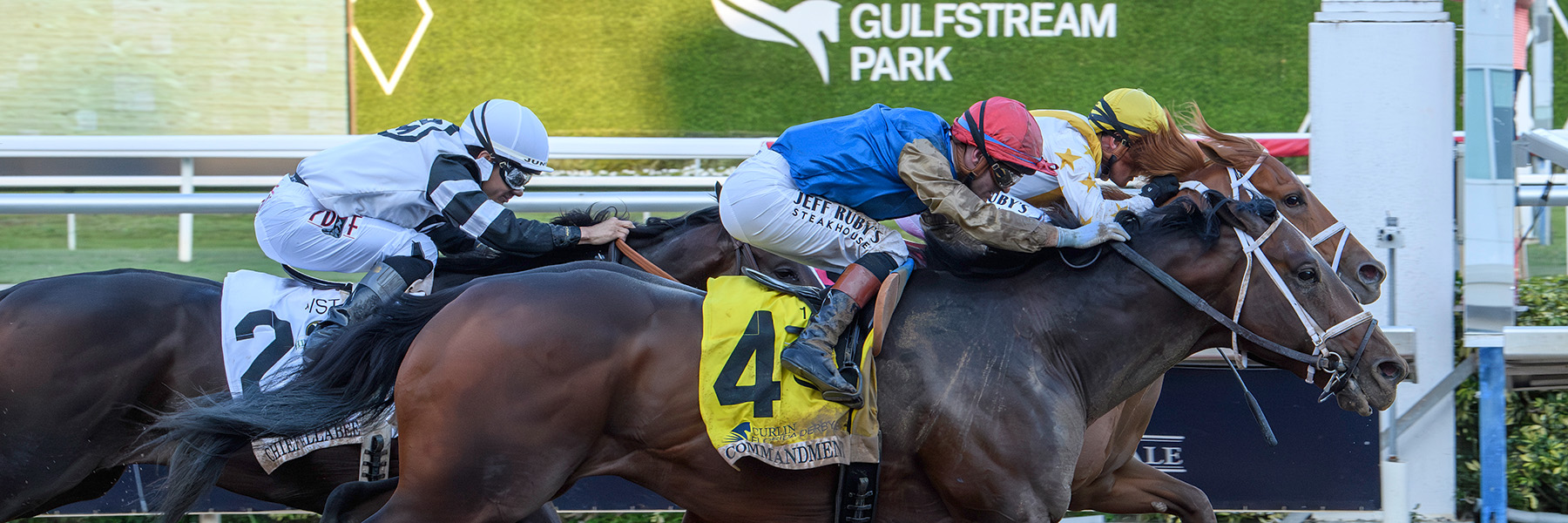 Commandment - 26 FL Derby - Nov & Sar