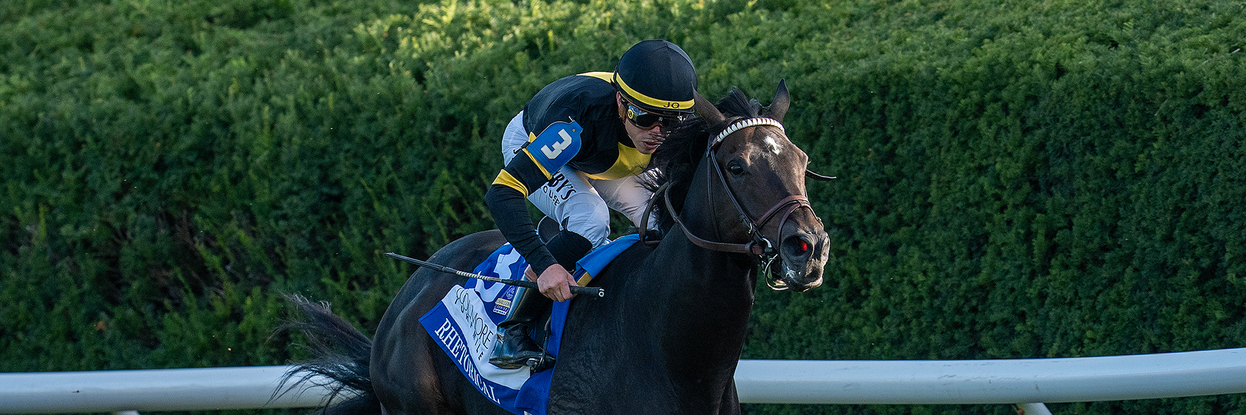 Rhetorical - 26 Coolmore Turf Mile - NYB