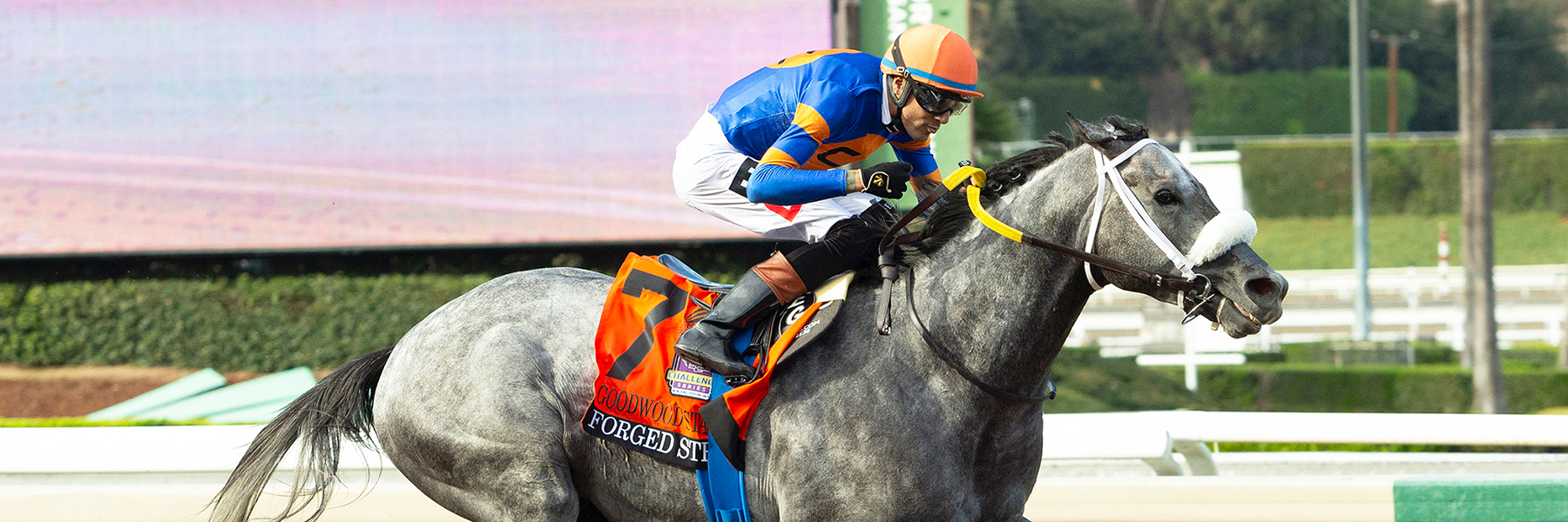 Forged Steel - 26 Goodwood - July