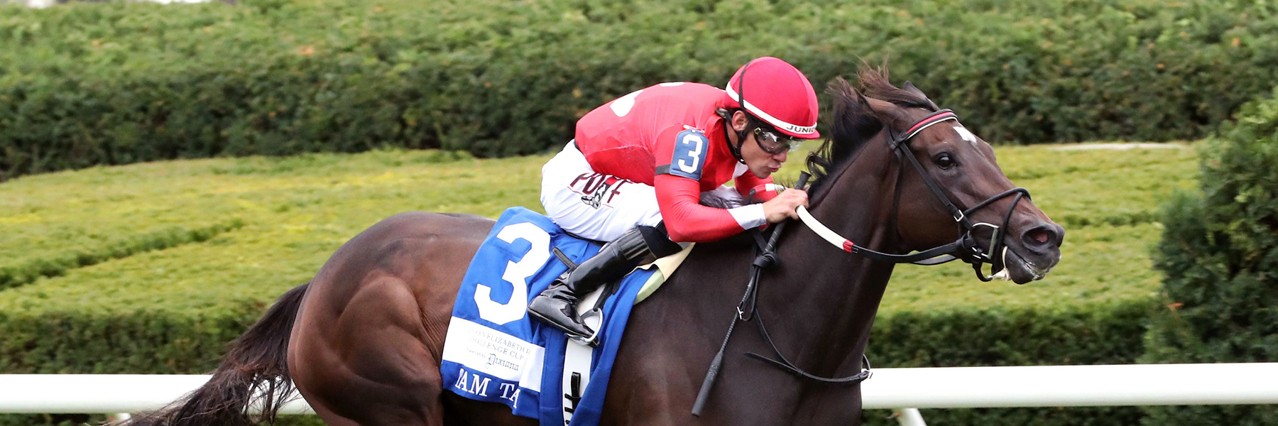 Tam Tam - 26 QEII Challenge Cup - Saratoga
