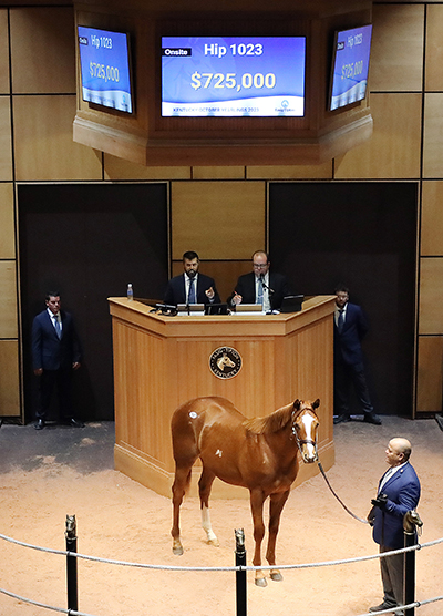 justify colt fasig-tipton kentucky october yearlings