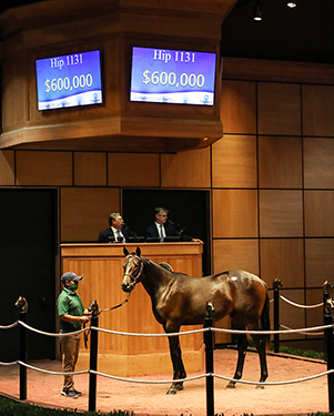 uncle mo colt fasig tipton kentucky october yearlings