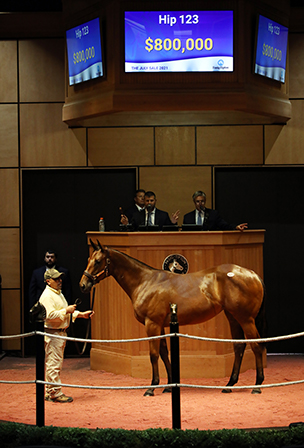 into mischief filly fasig-tipton july sale