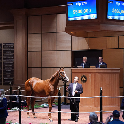 maclean's music colt sold for $500,000