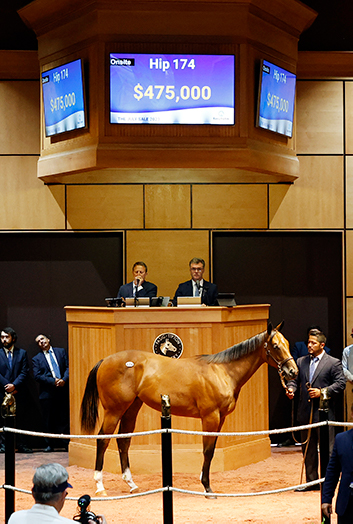 authentic filly at fasig-tipton july sale