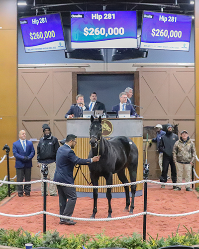 radical right sells for $260,000 at the midlantic december mixed sale