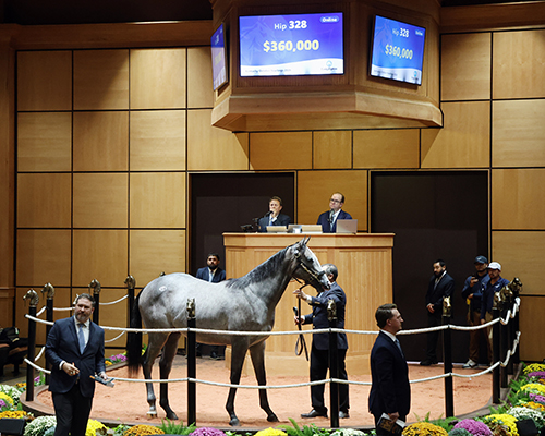 fasig-tipton photo