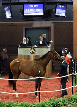 fasig-tipton midlantic into mishief filly