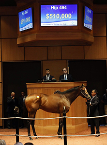 fasig tipton jalen journey