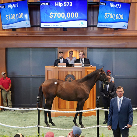 arrogate colt ny bred yearlings fasig-tipton