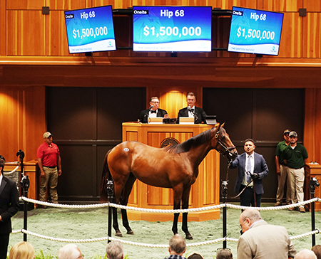 uncle mo colt fasig-tipton saratoga sale