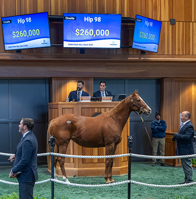 hip 98 skip dickstein