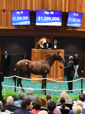 Hip 26 f American Pharoah Life At Ten