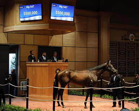 Kuchar Fasig-Tipton July Selected Horses of All Ages