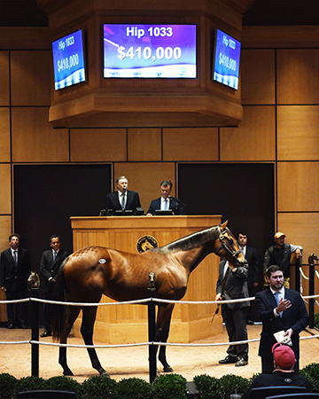 fasig tipton kentucky october yearlings sale uncle mo colt