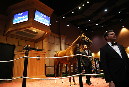 fasig tipton november sale blue prize