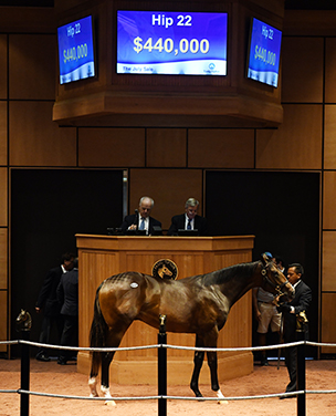 fasig tipton flatter july