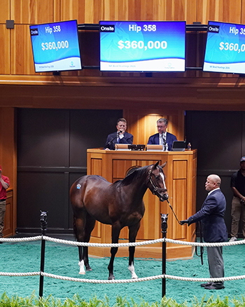 fasig-tipton photo