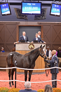 tapizar filly lydia williams