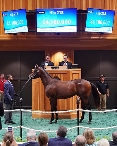 fasig tipton photo