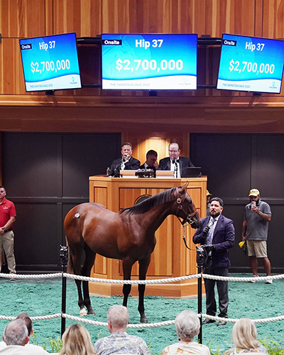 gun runner colt