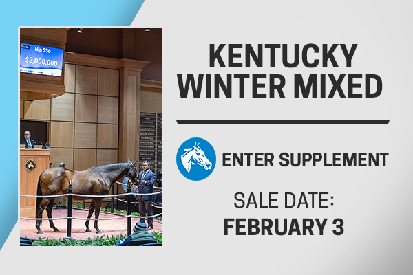 https://www.fasigtipton.com/2025/Kentucky-Winter-Mixed#/